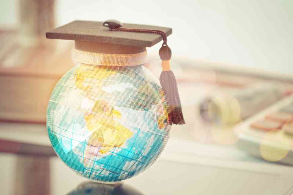 What Are The Downsides Of International Education?